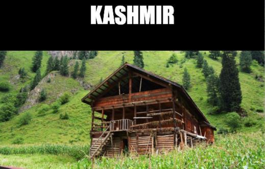 Kashmir Hill Town Hotell Srīnagar Eksteriør bilde